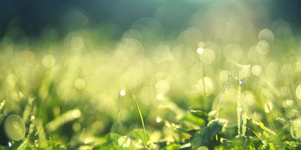 4401earth's tweet image. CO2 removal happens in many ways @4401earth
our focus is #negativeemissions removing existing and historical emissions from the air forever. Our recent partnership with #Climeworks provides the platform to make a significant impact on a global scale. #carbonremoval #climatechange