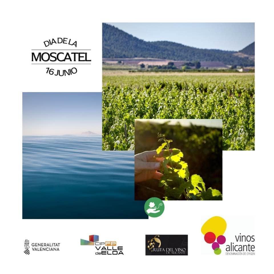 Bodegas Xaló (@bodegasxalo) on Twitter photo 