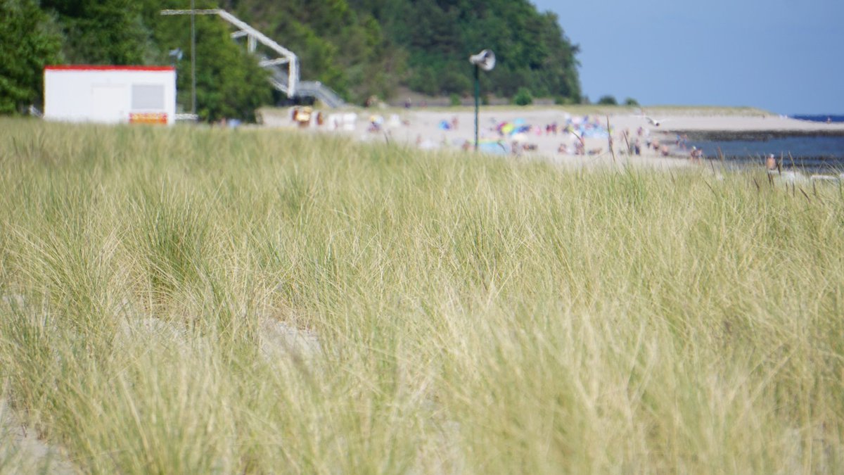1gen2l0c3's tweet photo. An den Strand

Durch meine Zehen rinnt wärmer Sand.
Ein jeder Schritt verkürzt den Abstand.

Es öffnet sich der Blick zum Meer.
Ich halte inne, es ist fast zu viel.

Ich schaue hinaus auf die Weiten;
es kräuselt sich die See fast still.
Hier kann ich stundenlang verweilen. https://t.co/D8y5BbAU2i
