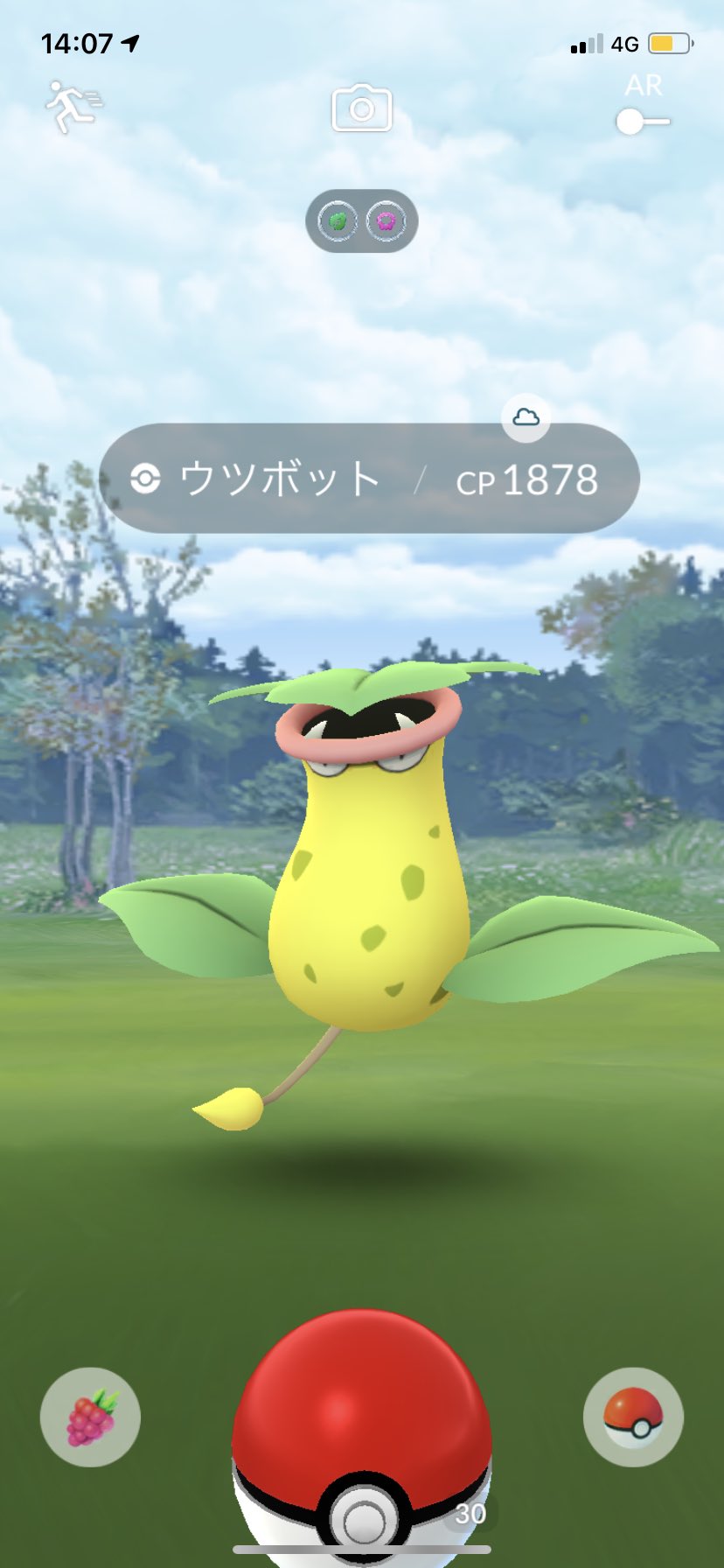 ポケモンgo野生で出て来た Twitter Search Twitter