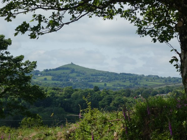 AHaglington's tweet photo. ANOTHER PHOTO - JUNE 2021
View across the #Tavy valley from #PeterTavy
to #Brentor church & #MaryTavy
@MaryTavyDevon @DartmoorDevon
Near #Tavistock #Dartmoor
#WestDevon #Devon
#SouthWest #England https://t.co/ePK9GeR5UA