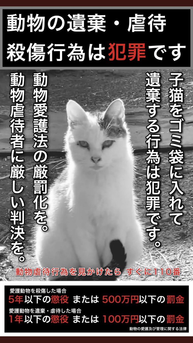 動物虐待反対 Hotワード