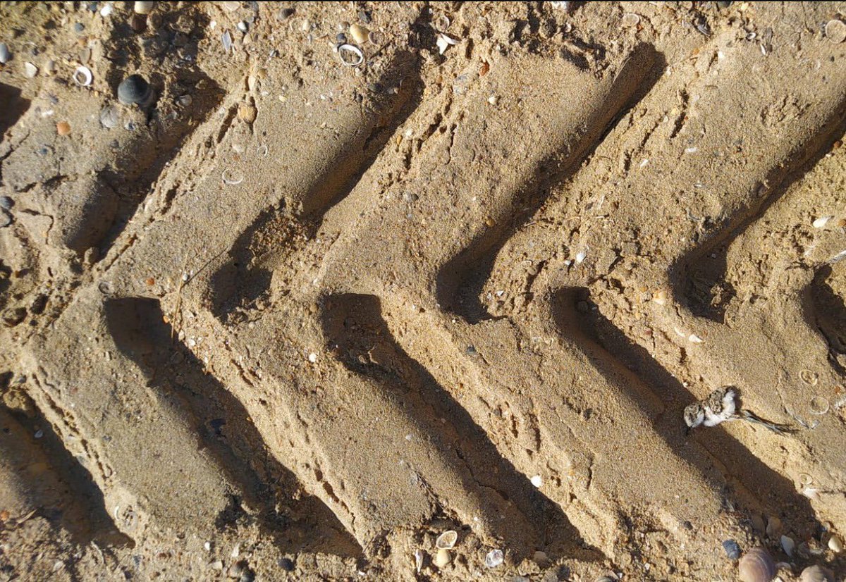 No words needed 😞 asociacionahuna.blogspot.com/2021/06/cronic…