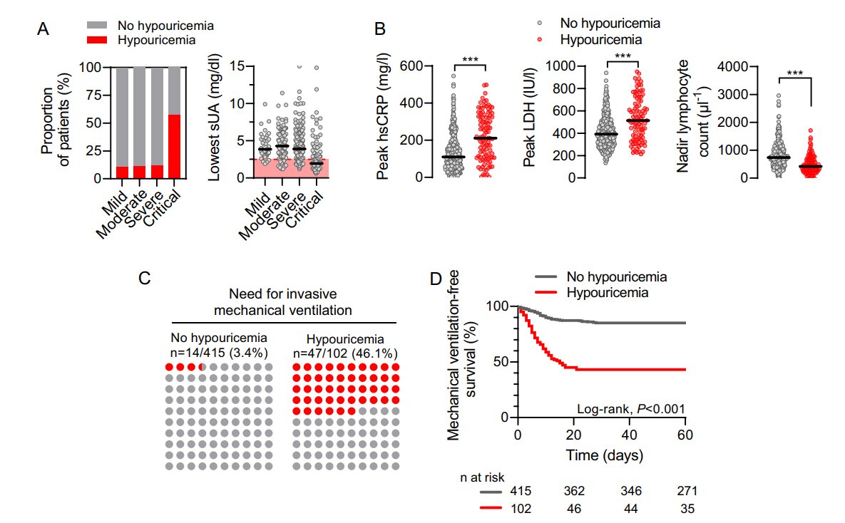 Johann Morelle (@johannmorelle) on Twitter photo Just out in <a href="/Crit_Care/">Critical Care</a> Serum uric acid, disease severity and outcomes in #COVID-19 ccforum.biomedcentral.com/articles/10.11… <a href="/DUFOURInes1/">DUFOUR Ines</a> <a href="/AlexisWerion/">Werion Alexis</a> @LeilaBelk <a href="/ClinUnivStLuc/">Cliniques universitaires Saint-Luc</a> @UCLouvain_be <a href="/IREC_UCLouvain/">IREC - UCLouvain</a> <a href="/frsFNRS/">F.R.S.-FNRS</a> #openaccess Just out in <a href="/Crit_Care/">Critical Care</a> Serum uric acid, disease severity and outcomes in #COVID-19 ccforum.biomedcentral.com/articles/10.11… <a href="/DUFOURInes1/">DUFOUR Ines</a> <a href="/AlexisWerion/">Werion Alexis</a> @LeilaBelk <a href="/ClinUnivStLuc/">Cliniques universitaires Saint-Luc</a> @UCLouvain_be <a href="/IREC_UCLouvain/">IREC - UCLouvain</a> <a href="/frsFNRS/">F.R.S.-FNRS</a> #openaccess