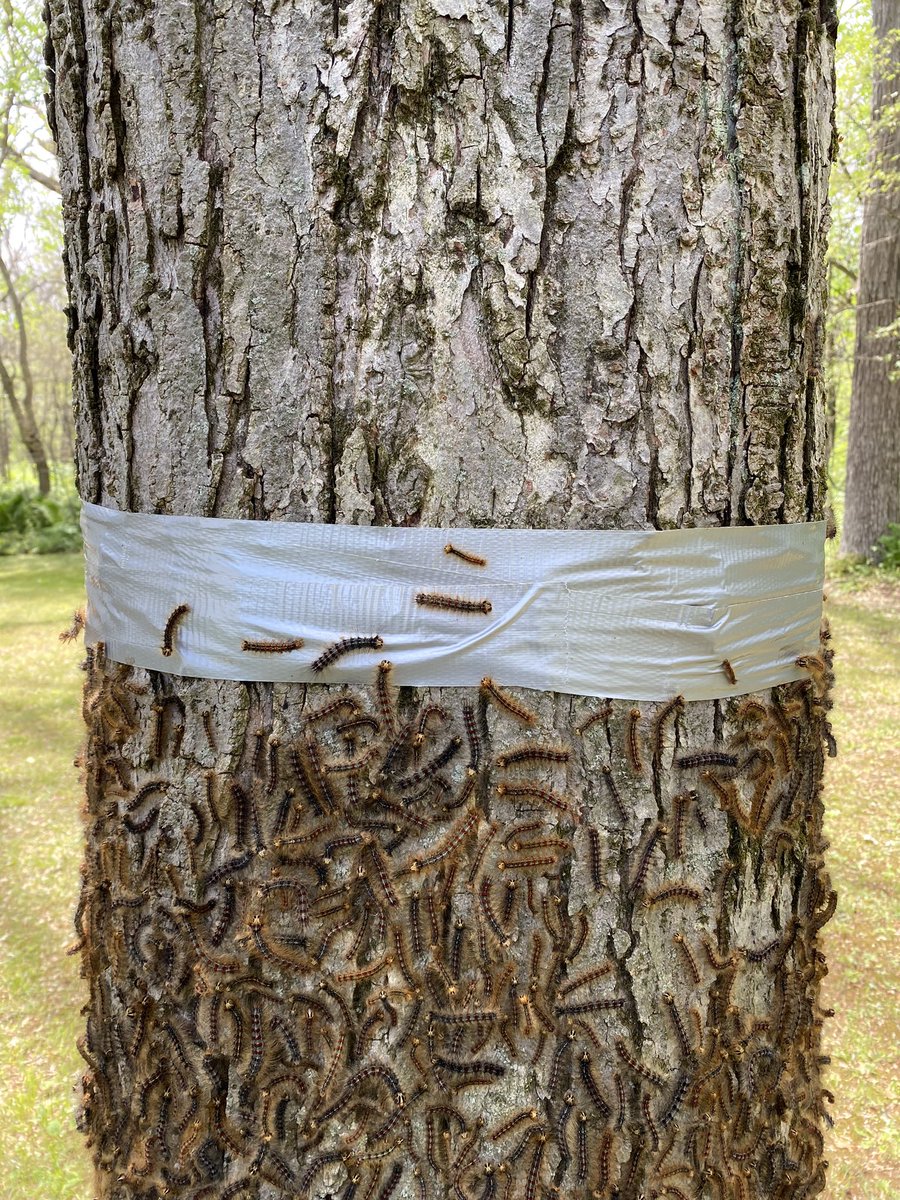 Chris Hadfield tweet media