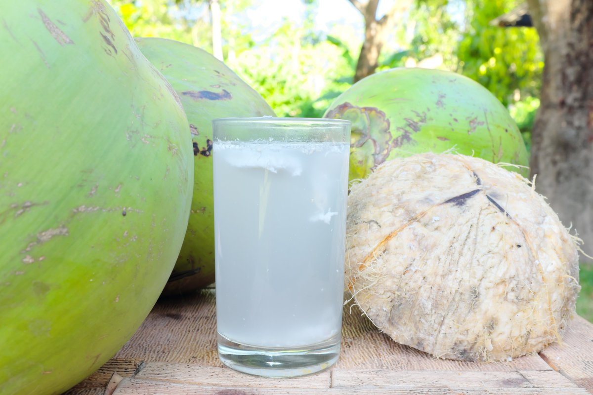 When you say no to sugar-laden drinks, why not opt for tender coconut water? All-natural and brimming with goodness, it’s the ideal energy booster for sportspersons, fitness enthusiasts and all those who are careful about what they consume. #naturaldrink #KeralaTourism