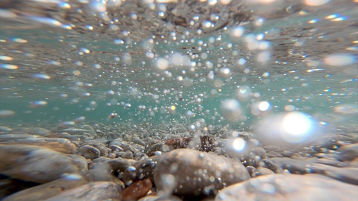 University of Plymouth tweet media