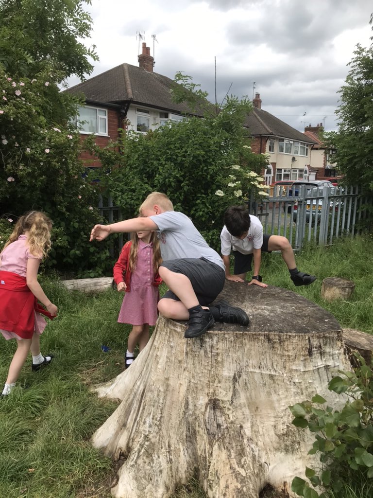 Horn's Mill Primary on Twitter "Team 3 having fun on the field at lunch time…
