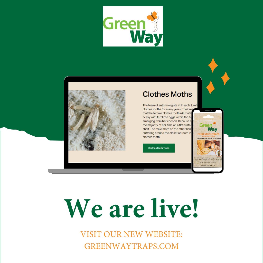 Our new website is ready for your visit! Check it out!

greenwaytraps.com

#insects #pestcontrol #pestmanagement #company #smallbusiness #learn #website #moth #safety #nontoxic