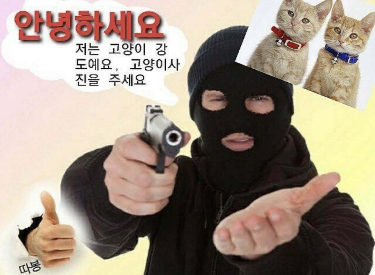 匚ㅔ』💫 On Twitter: