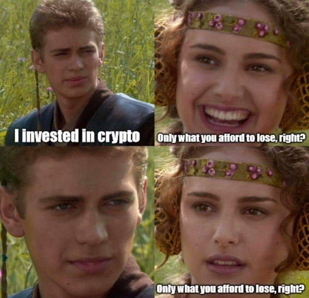 Cardano Hieronymus (@cardanohumpback) on Twitter photo 