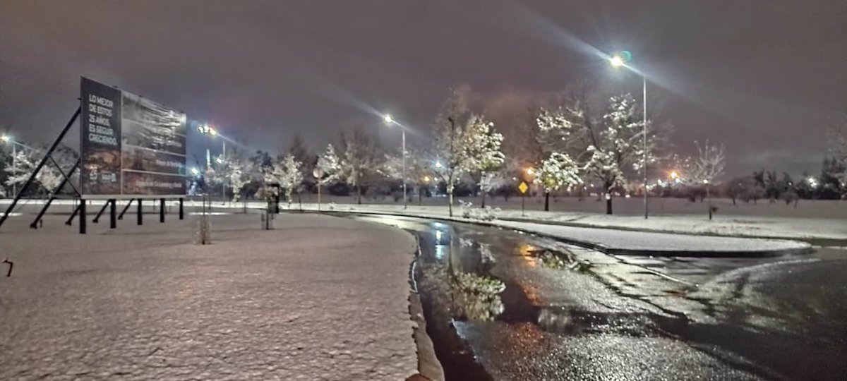 María Belén Mendé tweet media