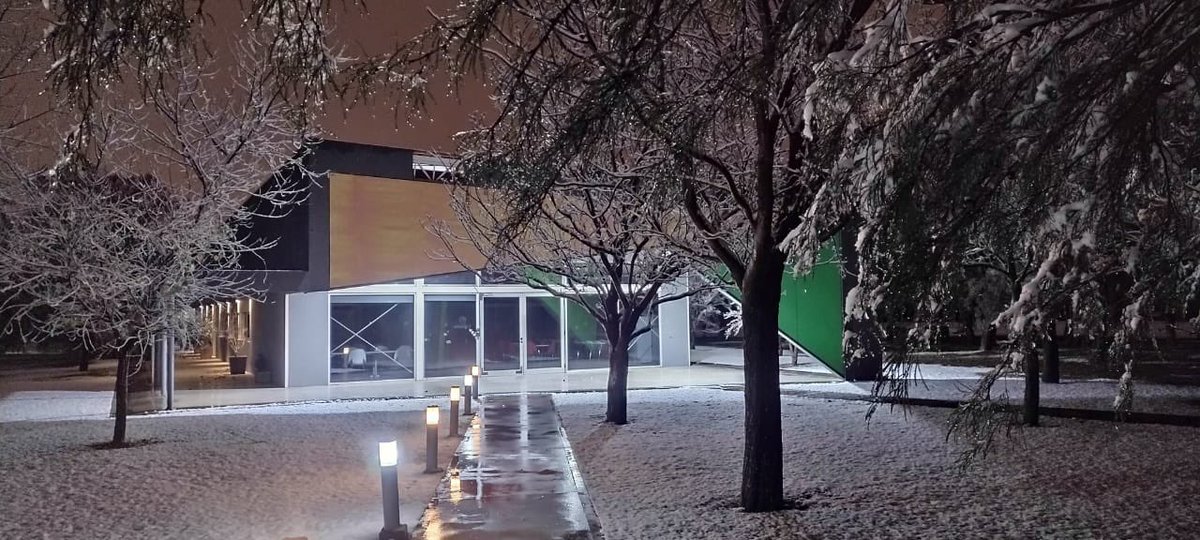 María Belén Mendé tweet media