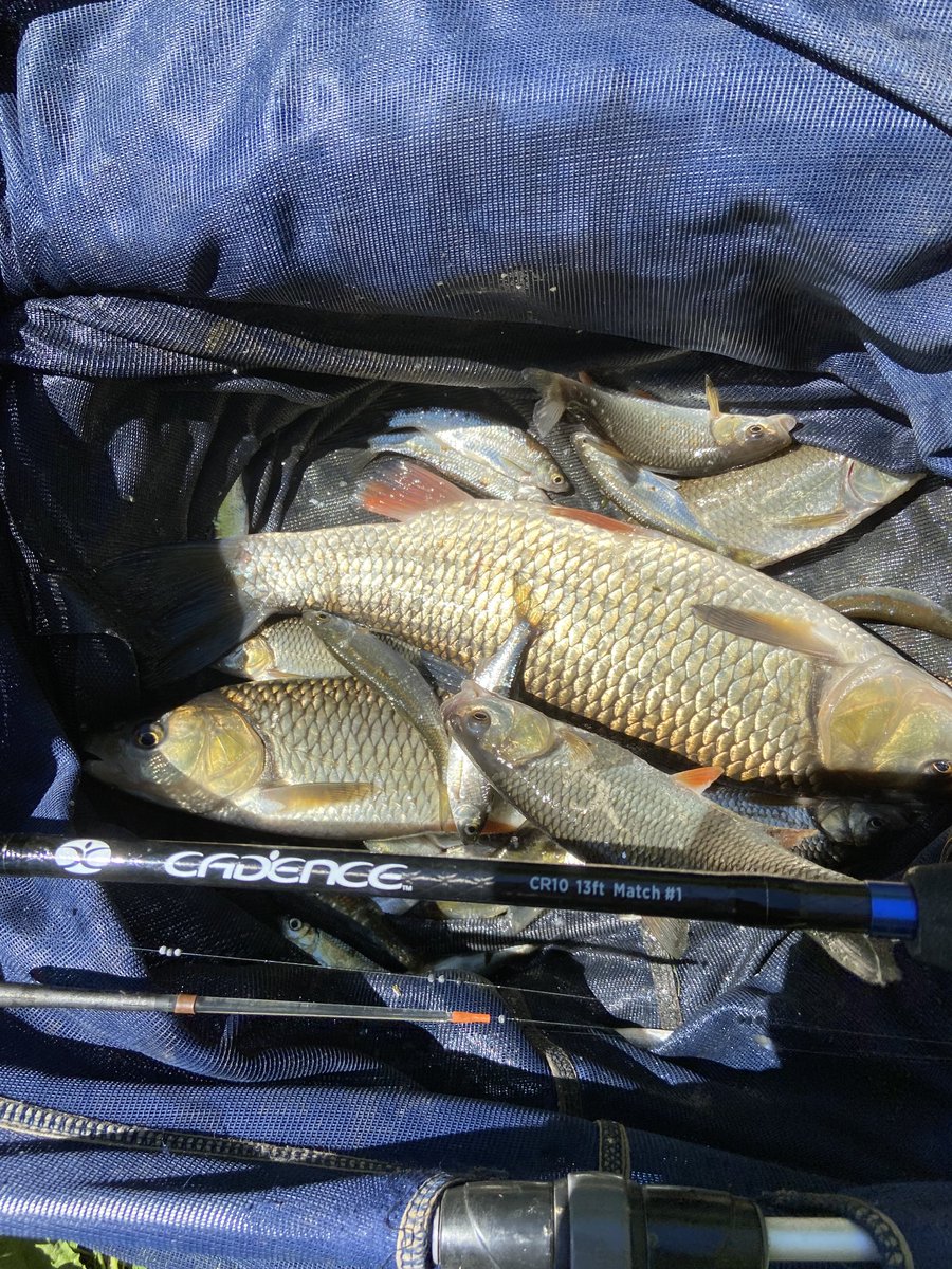 cwcstickers's tweet photo. #riversevern #stickfloat #newseason Good to be back on the Severn, catching a few on the stickfloat 👍🎣 https://t.co/bGmYlyeyOS