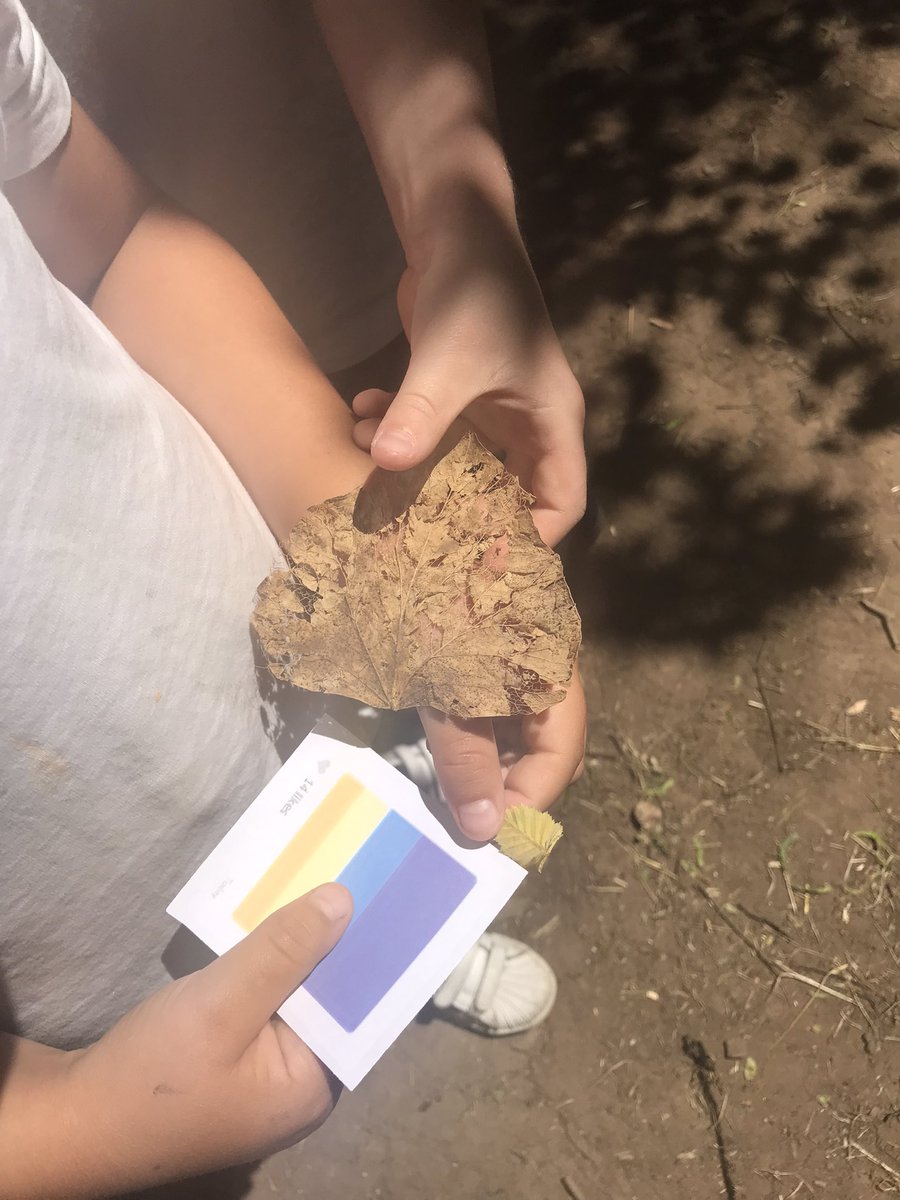 Mrs Lamb tweet media