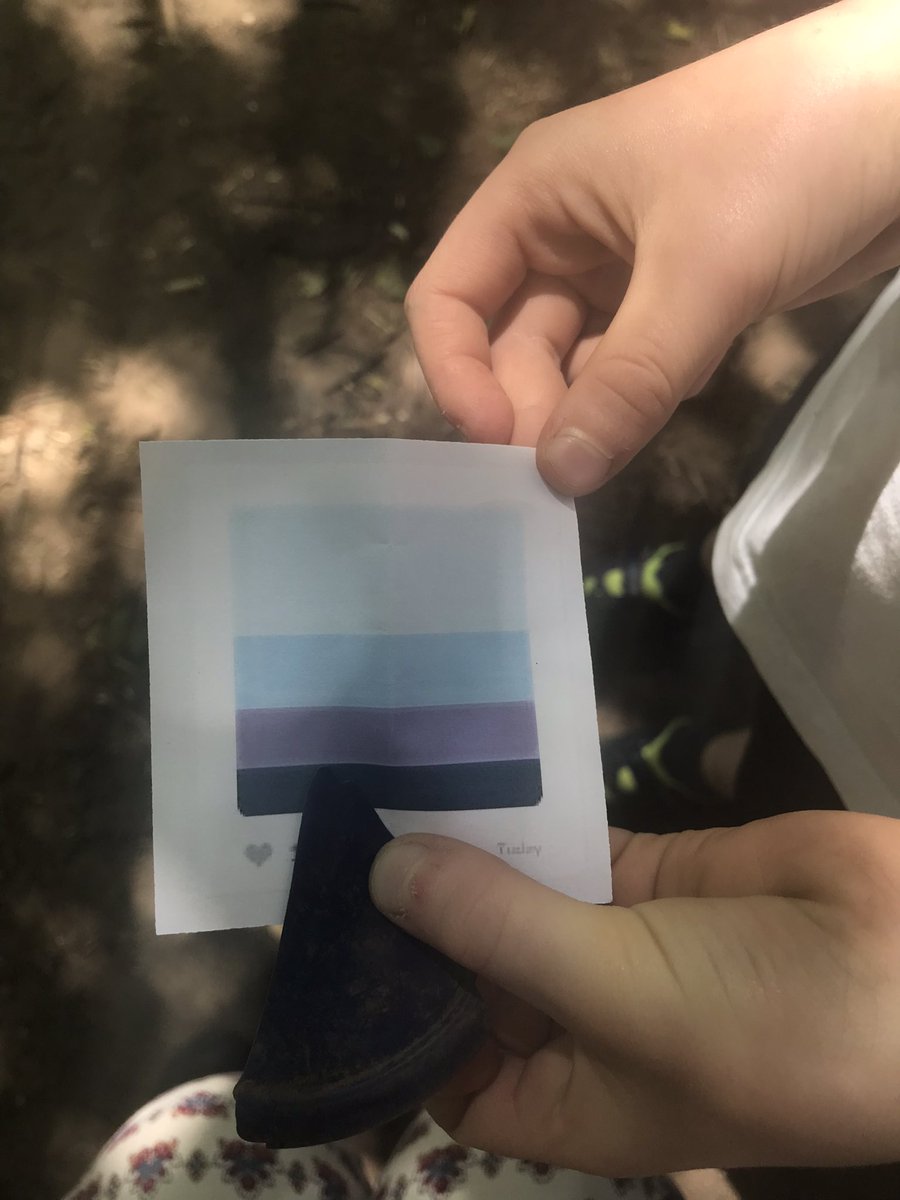 Mrs Lamb tweet media