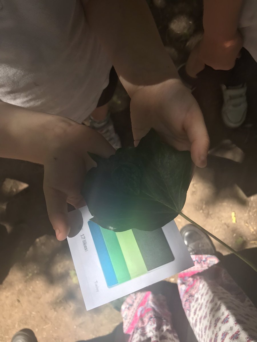 Mrs Lamb tweet media