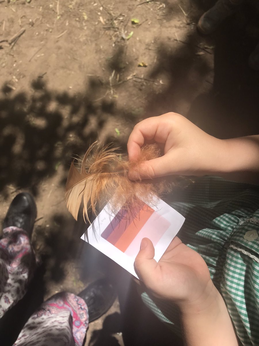 Mrs Lamb tweet media