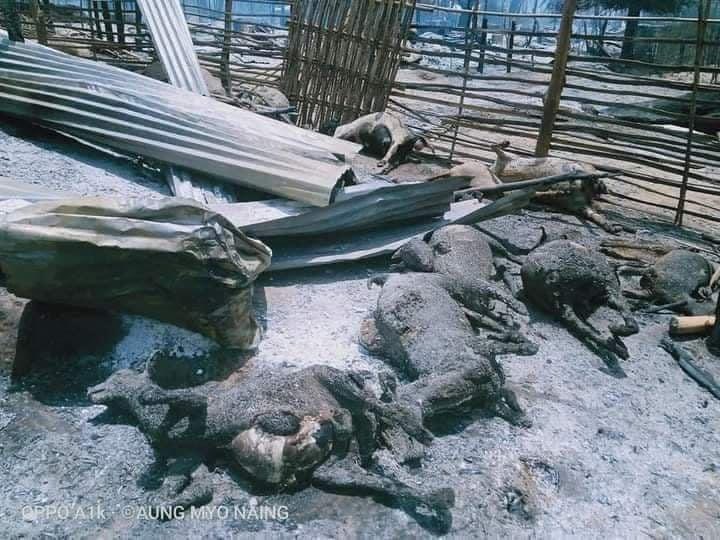 KhinSandi20's tweet photo. Myanmar junta set the village of #Kinma on fire.

Most villagers fled but some elderly and disabled persons stayed behind, according to witnesses they were burnt alive.

Find out why the junta is terrorizing Myanmar: https://t.co/ES6LZC534G…

#WhatsHappeninglnMyanmar #June15Coup https://t.co/Skb4GMqOgX