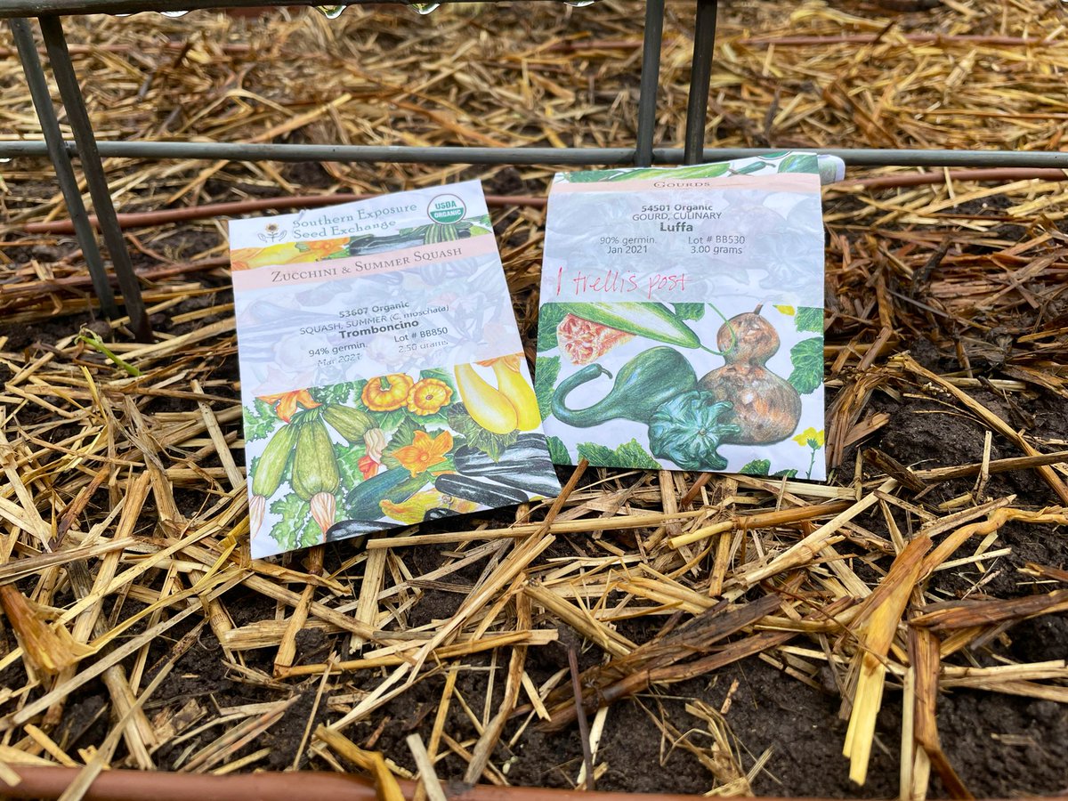 Cleveland School Garden tweet media