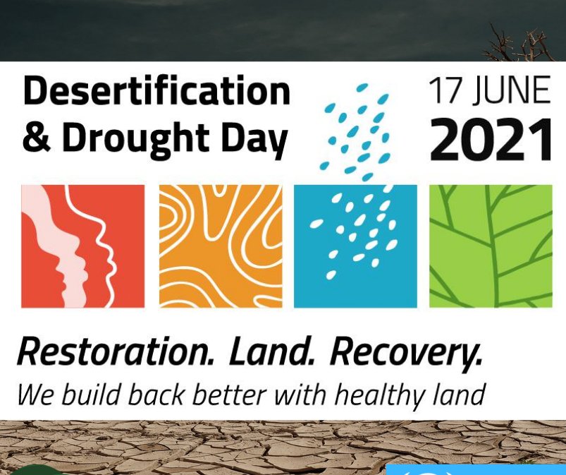 It's World Day to Combat Desertification and Drought!  Desertification is the permanent degradation of land that was once suitable for growing crops. This a global issue that affects people's livelihoods, live stock, crops, and our environment. Visit un.org/en/observances….
