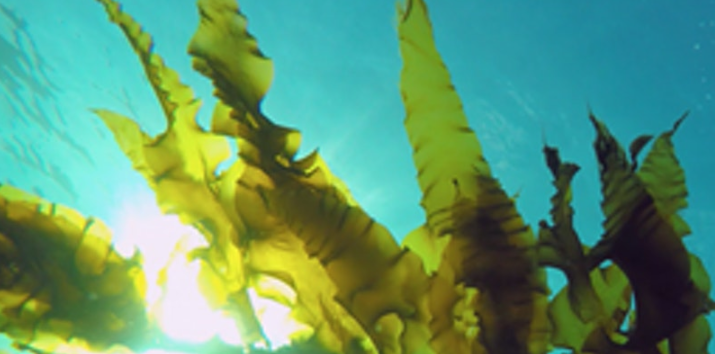 AberdeenshireEconDev tweet media