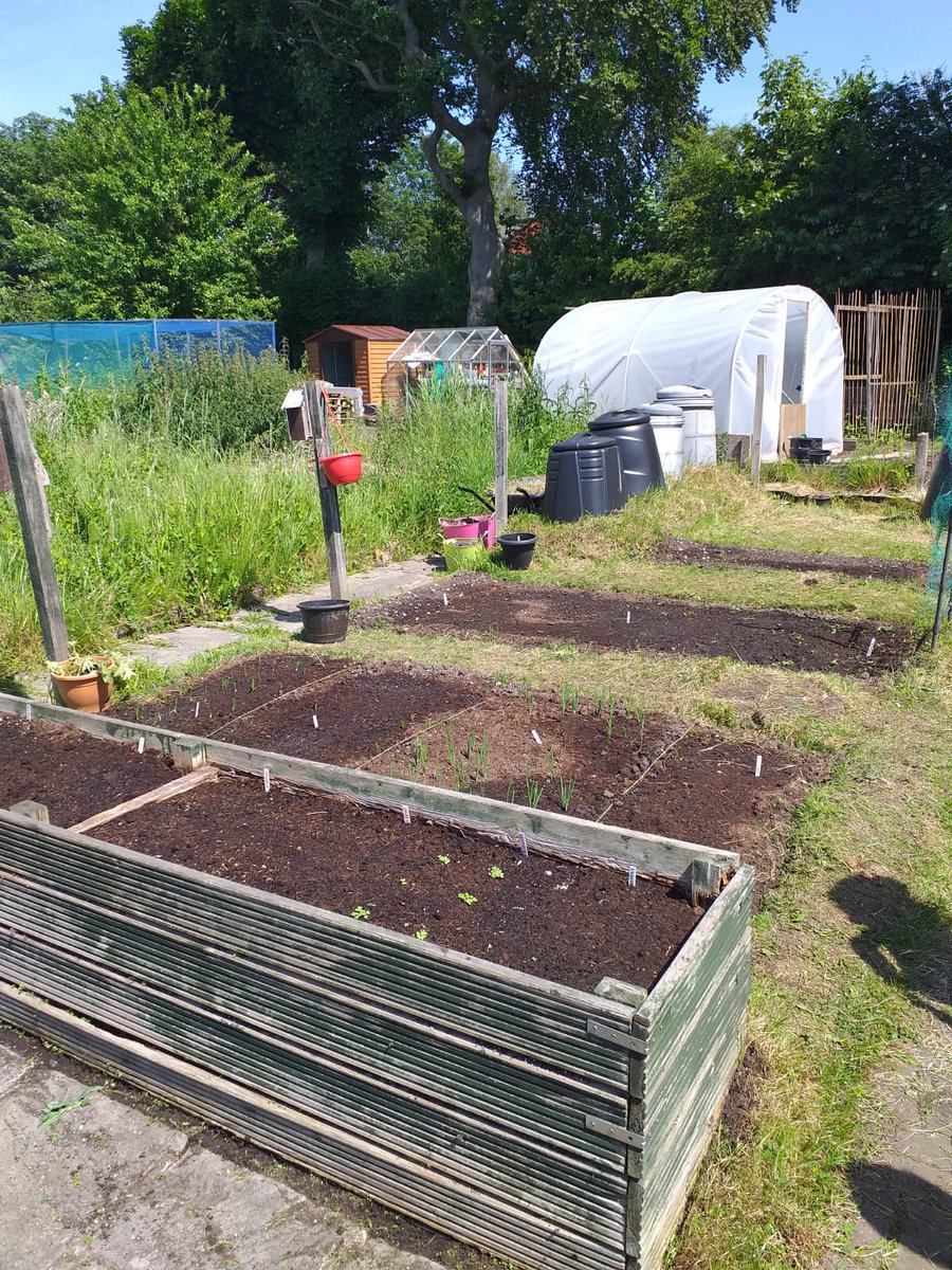 Our new wellbeing allotment is coming along nicely. We would like to make an appeal for donations of any seeds, compost or plants. If you have anything to donate please contact Paige on paige.artus@pureinnovations.co.uk 🌻🌺🌼 <a href="/MHN_pure/">Mental Health Network</a> <a href="/Stockportwin/">StockportWin</a> #onestockport