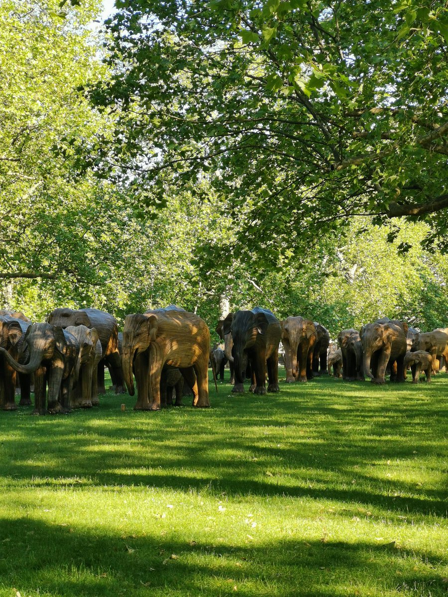 London_Nut's tweet photo. If you visit just one place in London this weekend, make it Green Park. Absolutely brilliant installation, a huge herd of around 100 life size elephants. It's magnificent. @theroyalparks #London https://t.co/hEgMJrGi3D