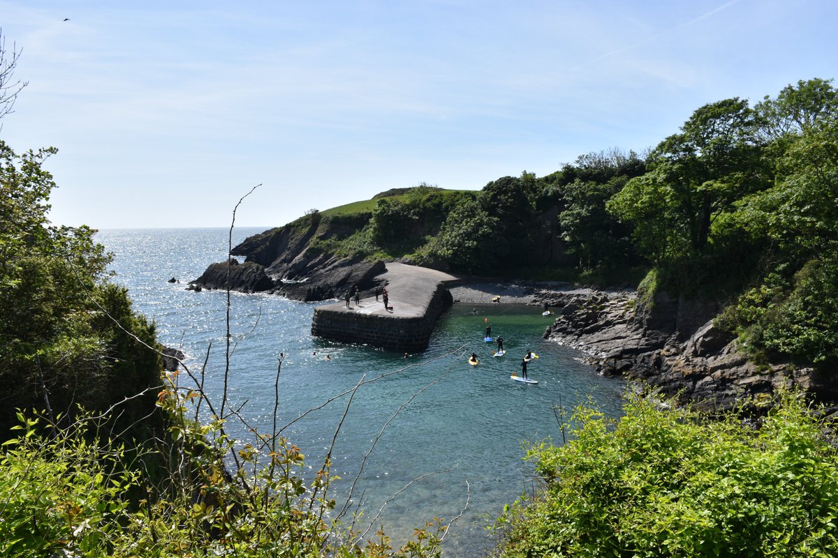 MorfaBayA's tweet photo. What a setting for a coastal adventure 😍🌊☀️
@VisitPembs @VisitWalesBiz 

#Coasteering #StandUpPaddleBoarding #Pembrokeshire #StackpoleQuay #Wales https://t.co/xxEWGtZqW8