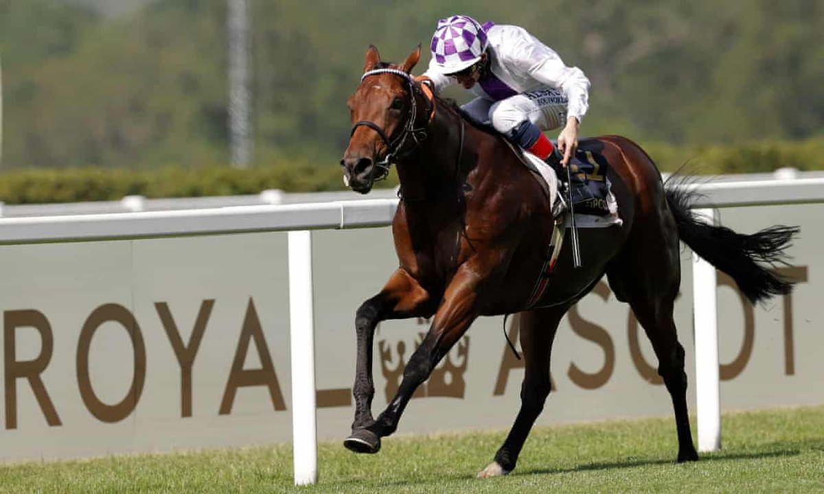dandhdirect's tweet photo. POETIC FLARE - BRED &amp; RACED ON PLUSVITAL SUPPLEMENTS.
Congratualtion to Jim Bolger trainer for Poetic Flare who stormed to victory at the 2,000 Guineas St James's Palace Stakes at Royal Ascot yesterday.
Plusvital scientifically-based supplements available from D&amp;H Direct. https://t.co/SsVjXcPwtJ