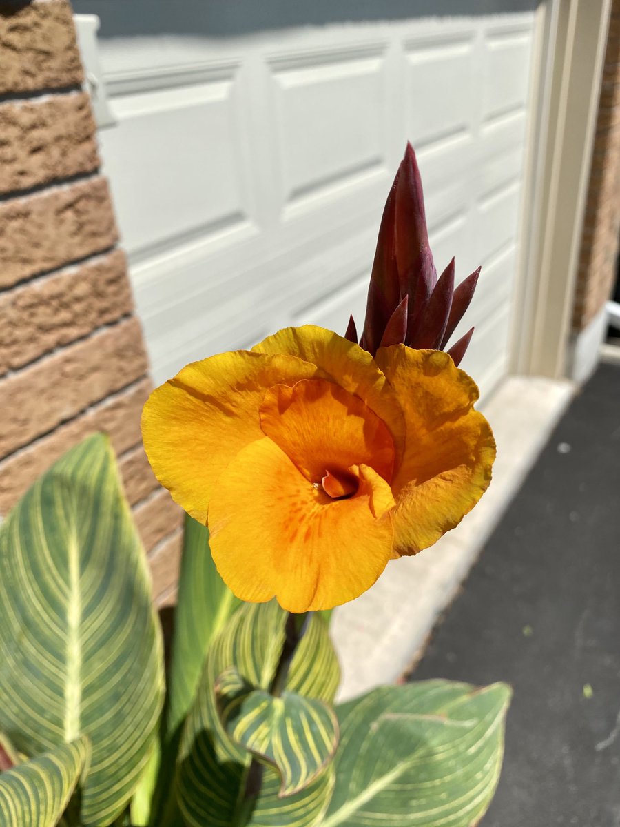 Jeff Lapointe tweet media