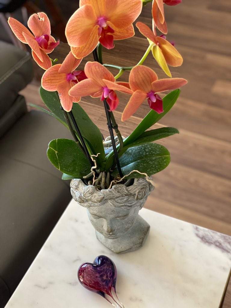 juliaOReilly1's tweet photo. #tuesdayvibe Thank you so much for sharing your beautiful photos with us! I appreciate your support 🙏💕💐 #glassart #blackhawkgallery #art #danvilleca #beautiful #SanFrancisco #BayArea #beauty #interiorspacesdesign https://t.co/lJDhY57FCf