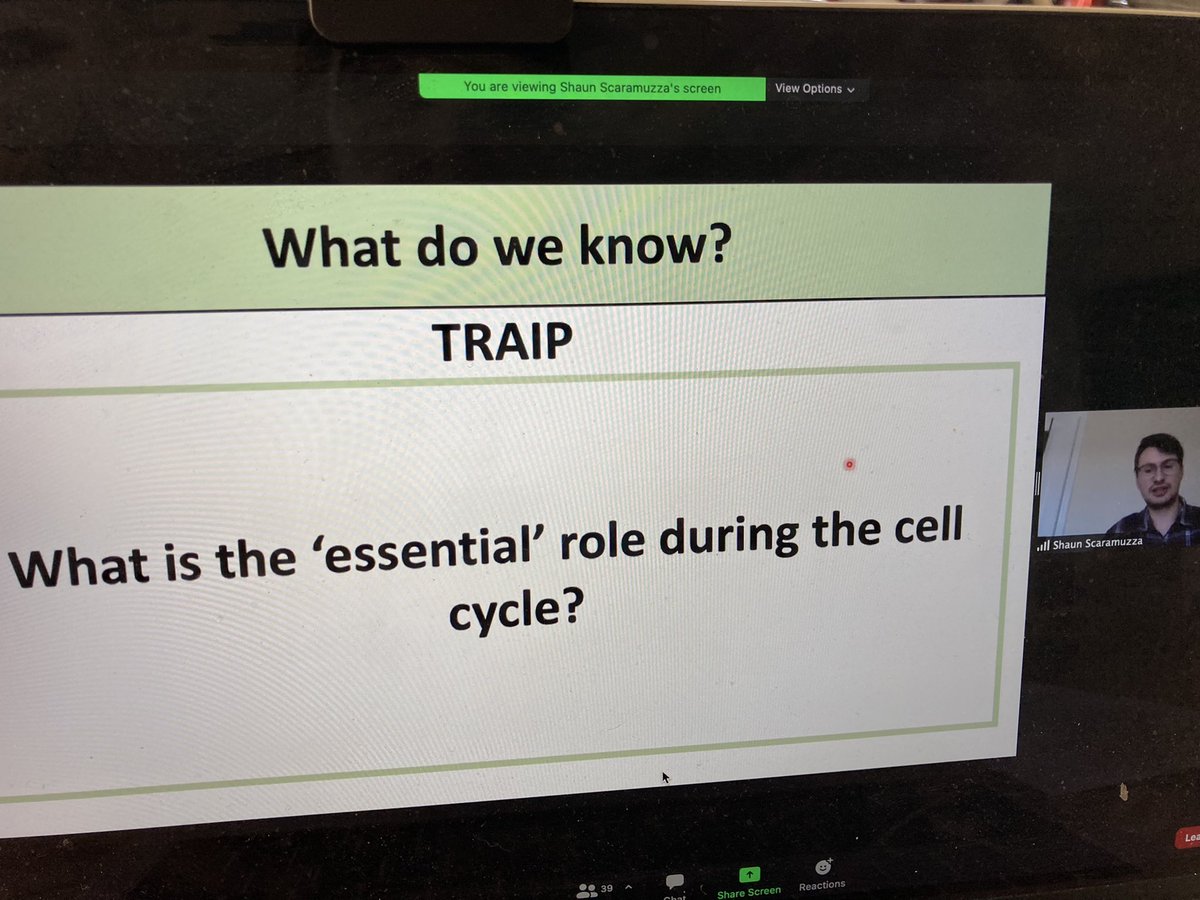 AgaGambus's tweet photo. Great job @ShaunScaramuzza! Well delivered talk at London cell cycle club! Thank you @abcam and @DeRobertus for organising! https://t.co/0fqGTEvmk4