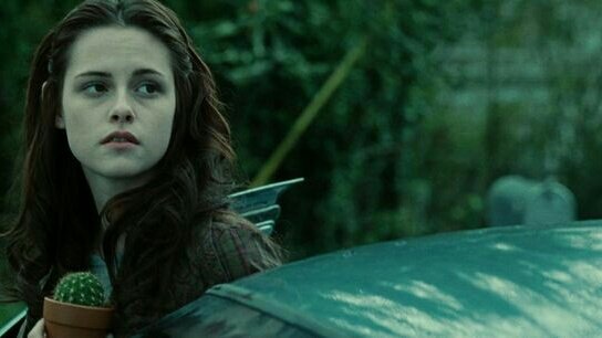 archivetwilight's tweet image. pov: you ask a hot person what their comfort movie is