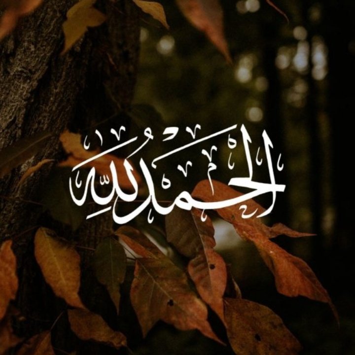 salmahindl's tweet photo. #صورة_ملف_شخصي_جديدة https://t.co/aTZsSFf7HI