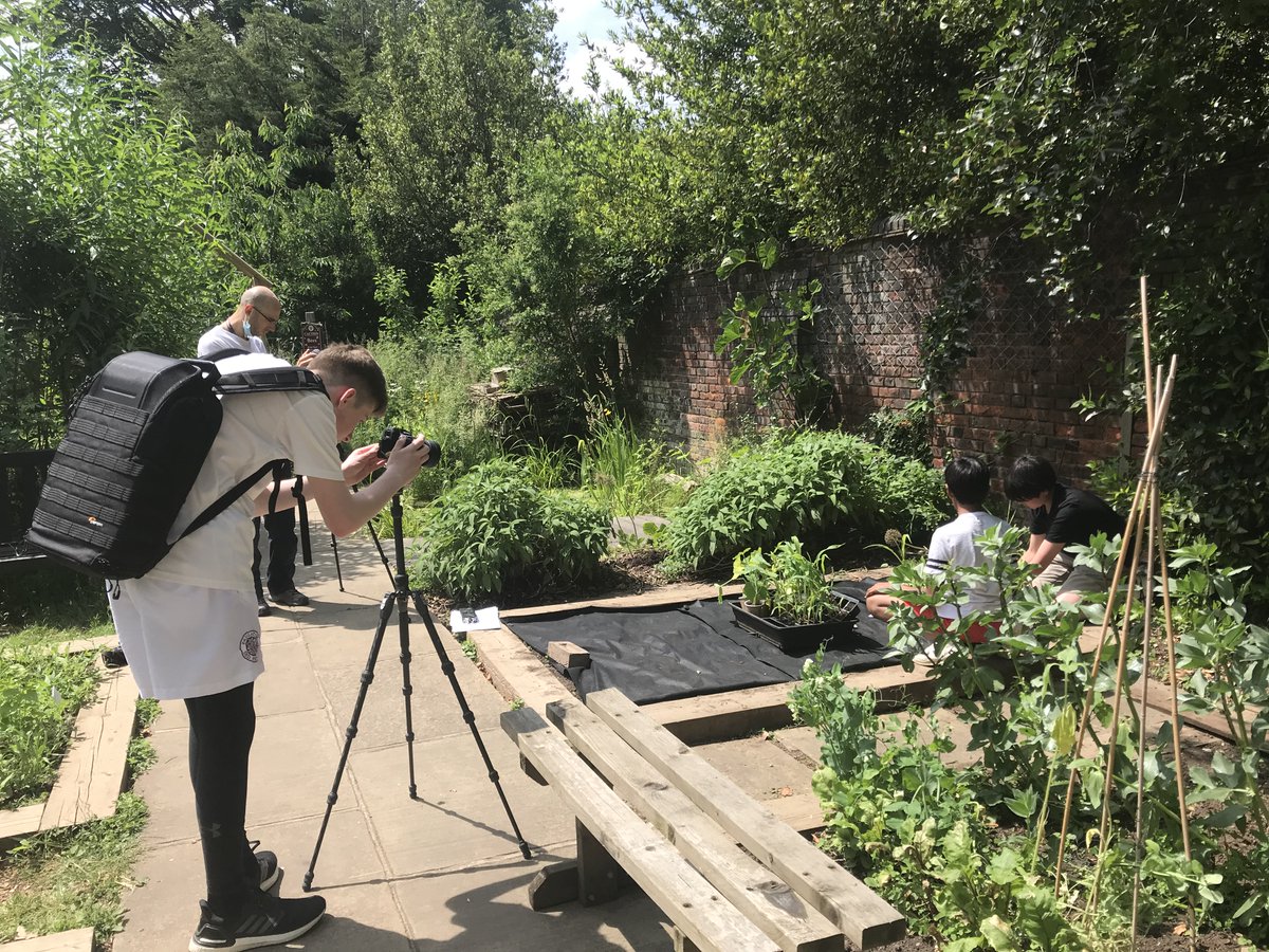 UCSHampstead's tweet image. An abundance of natural light ☀️, camera and action! 🎬With the help of @ART_UCS staff, pupils film their submission for @bbctvcentre documenting all the wonderful gardening work they&apos;ve done over the year at our thriving allotment. 🦋🌱Good luck! @GWandShows
