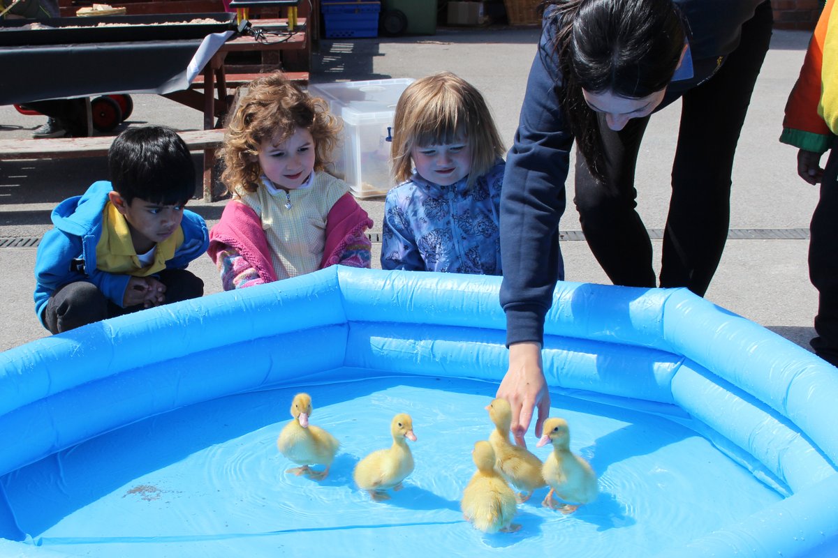 BoltonSch's tweet photo. We still have some availability in our *outstanding* (Ofsted rated) Nursery and Pre-School Class @BoltonSchool for this September. Call 01204 434732 to find out more +/or to arrange your virtual visit: https://t.co/b3idzIJA33 @BS_Nursery @bsnurseryclass https://t.co/GgqopaEzgT