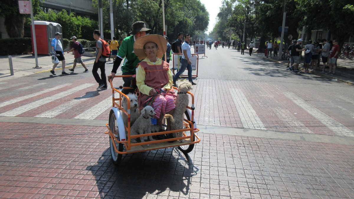 Penalosa_G's tweet photo. Images from Guadalajara, Mexico. Not just during pandemic; before, during, after, 52 Sundays, 65 Km/40mi, over 400,000 People all ages &amp; backgrounds walk, run, slow bike, chat &amp; shop. #OpenStreets, every city, everywhere. #DoItNow #ActiveTO #BloorYonge July-Aug. https://t.co/tNCZuk2Ltt