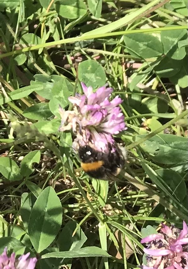 Stuart Collins tweet media