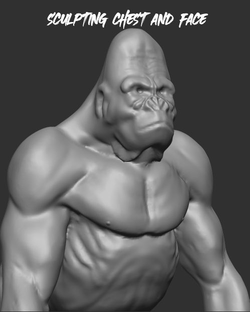 visualsofmarco's tweet image. How I sculpted Kokku!

#NFTCommunity #nftcollector #NFT #NFTdrop #artwork #cryptoart #NFTartists #3dsculp #zbrush #characterart