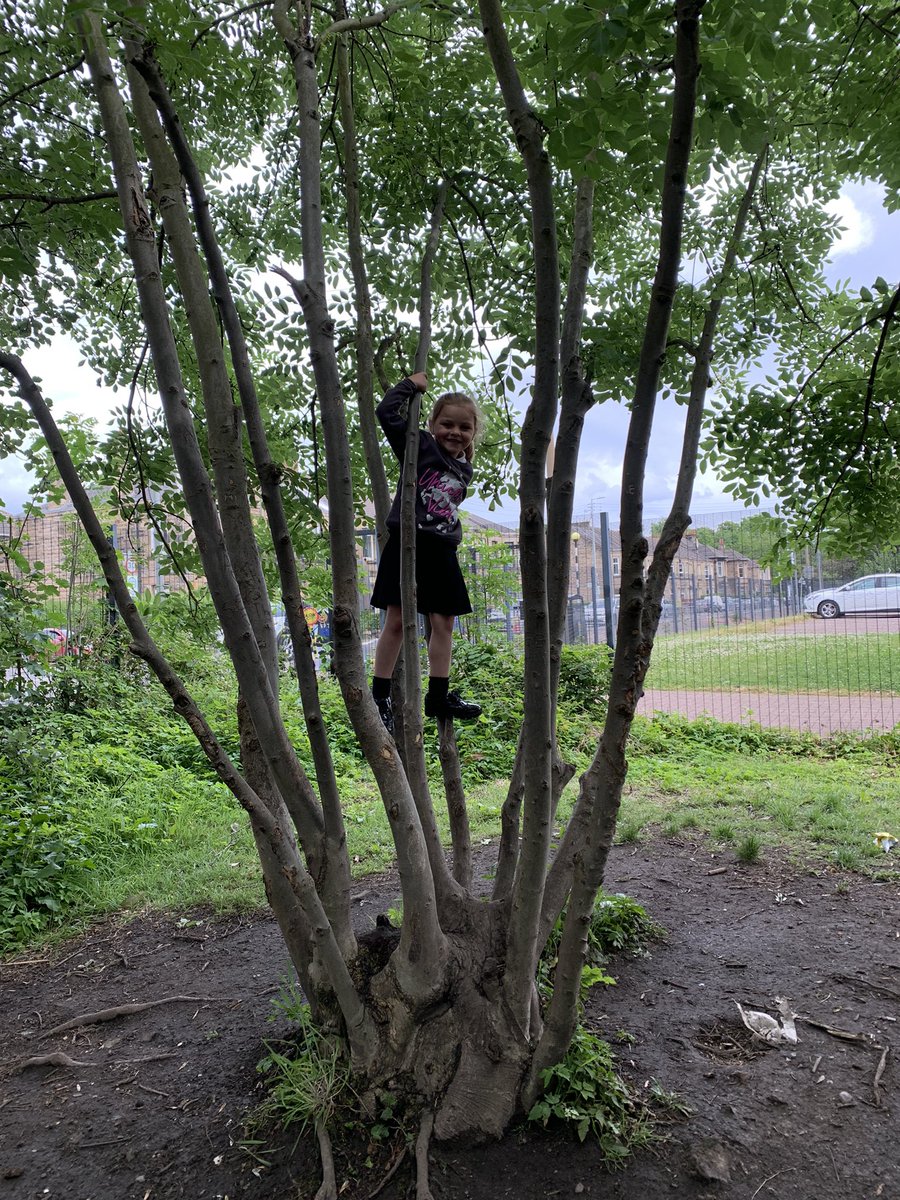 MrsQuigley2016's tweet photo. We are having great fun in our trim trail this afternoon 🌿🍃🪨 @PirieParkPS #p1q https://t.co/6MyRytBmZZ