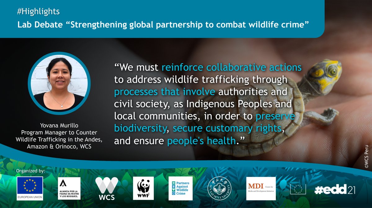 🟢 LIVE at the European Development Days 2021! 🇪🇺 #EDD21 

Strengthening global partnership to combat wildlife crime 🦜🌎

#OnEarth #AlianzaFaunaYBosques #PartnersAgainstWildlifeCrime