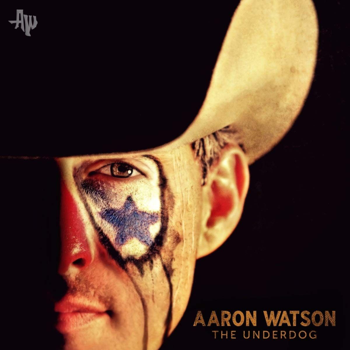 Each album cover for me is an opportunity to let my personality shine through. I enjoyed getting a shoutout for some of my covers from @gradywsmith recently. Which album cover of mine is your favorite? youtu.be/FejRKMtXhNg #familyfirst #countrymusic #texasmusic