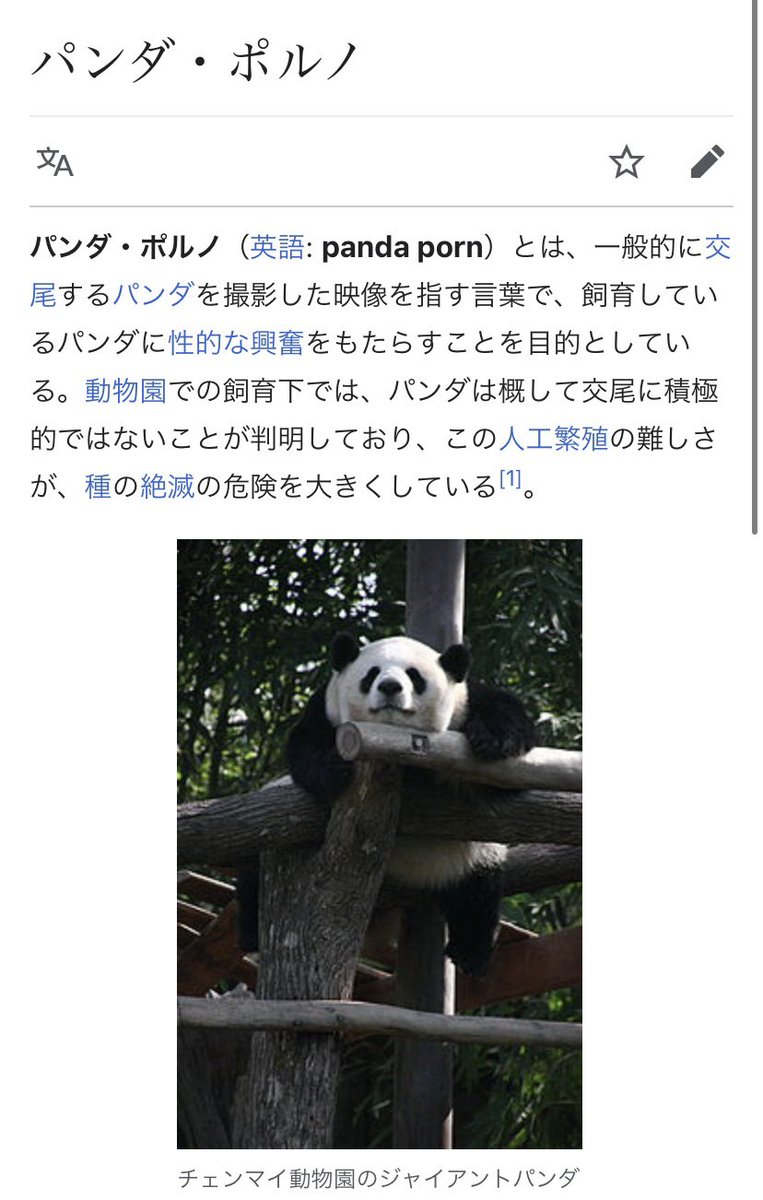 水曜日のダウンタウンで パンダ が話題に 水ダウ トレンドアットtv 水曜日のダウンタウンで パンダ が話題に 水ダウ トレンドアットtv