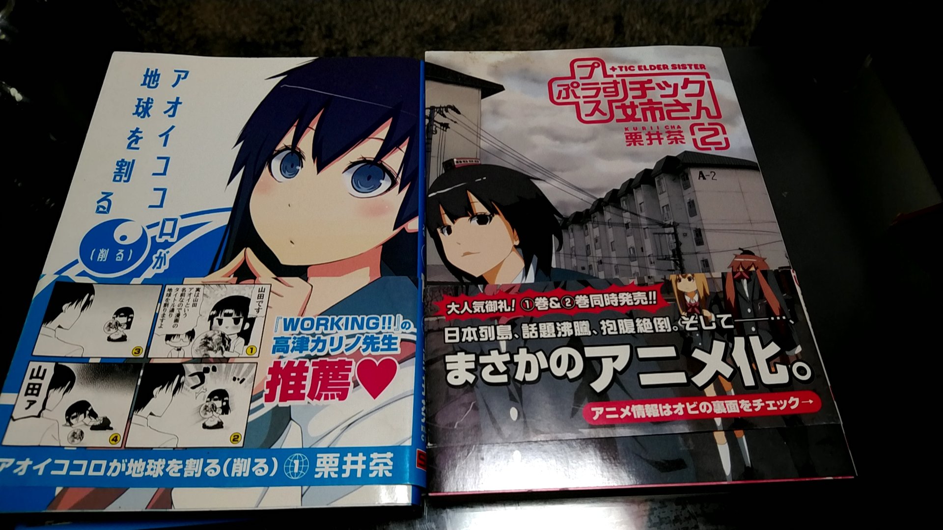 リョータ 23年に五島列島でフリーランスになるぞ これは僕の友達が書いてる漫画です ギャグ漫画ですが面白いので是非読んでください 左の漫画には僕っぽいキャラも出てます 知らんけど 漫画 プラスチック姉さん アオイココロが地球を割る 栗井茶