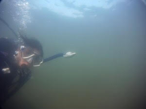 Helen Cheng tweet media