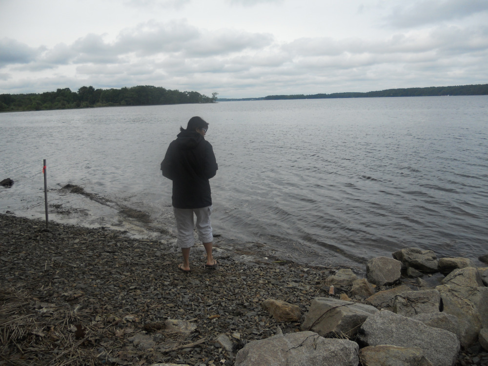 Helen Cheng tweet media