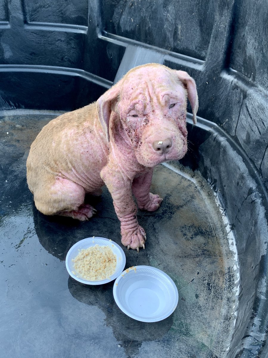 OKC for Soccer tweet media