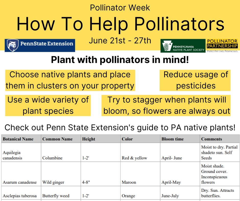 #Pollinators are essential for a healthy world but sadly many populations are in decline due to loss in feeding/ nesting habitat, misuse of chemicals, and pollutants. Check out pollinator.org, panativeplantsociety.org, and extension.psu.edu/pennsylvania-n… for more info!