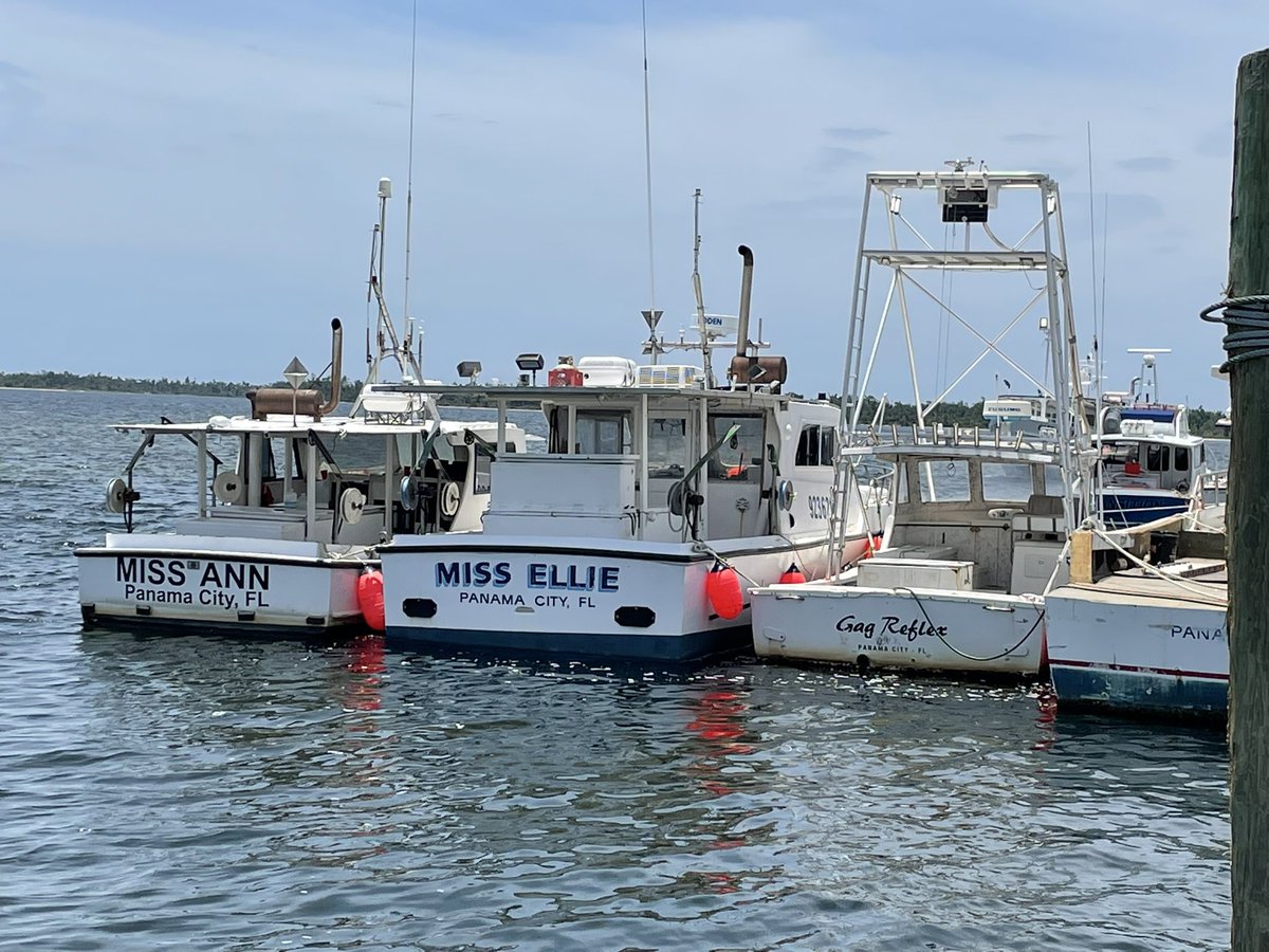Tarpon Dock Seafood Market tweet media